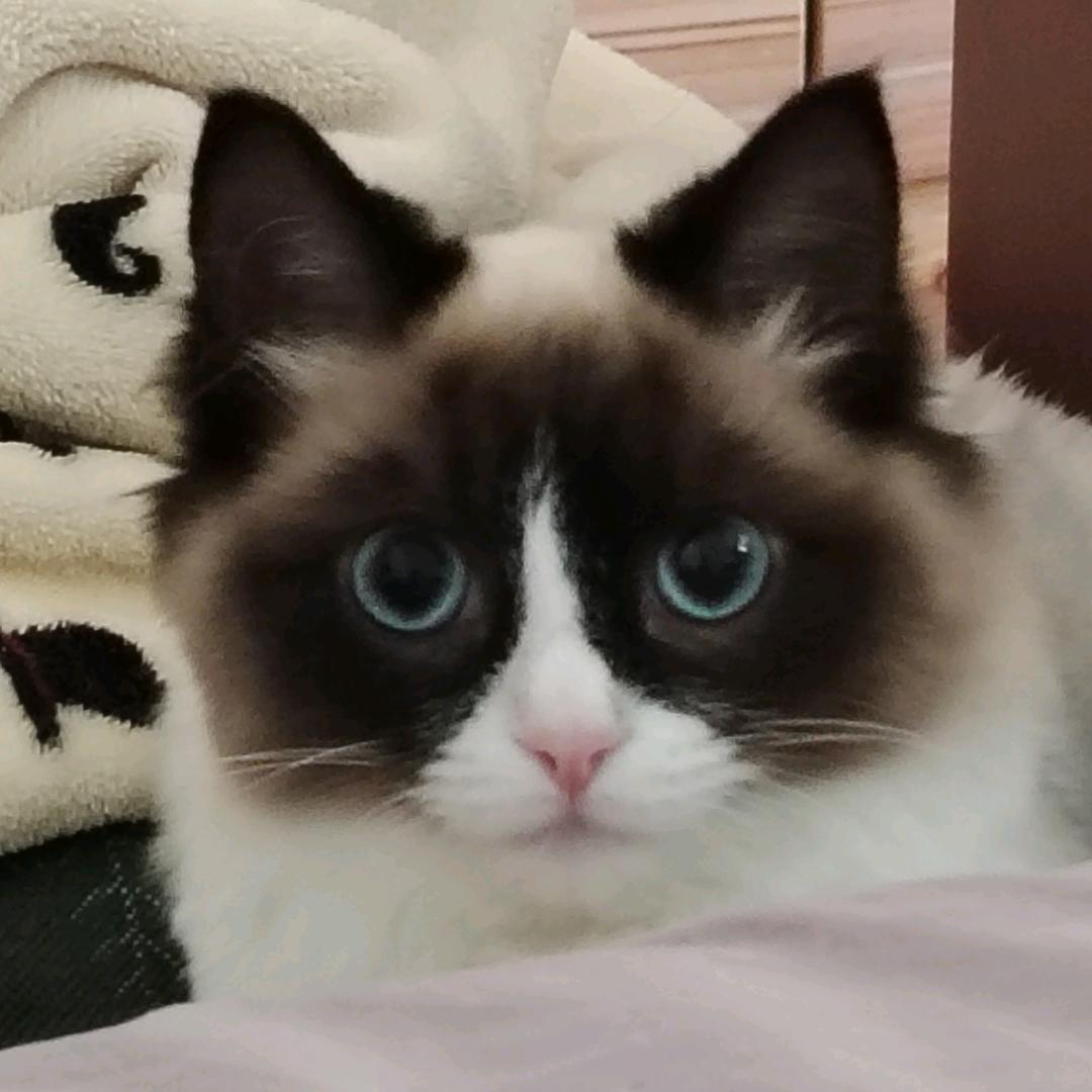 必闻君
