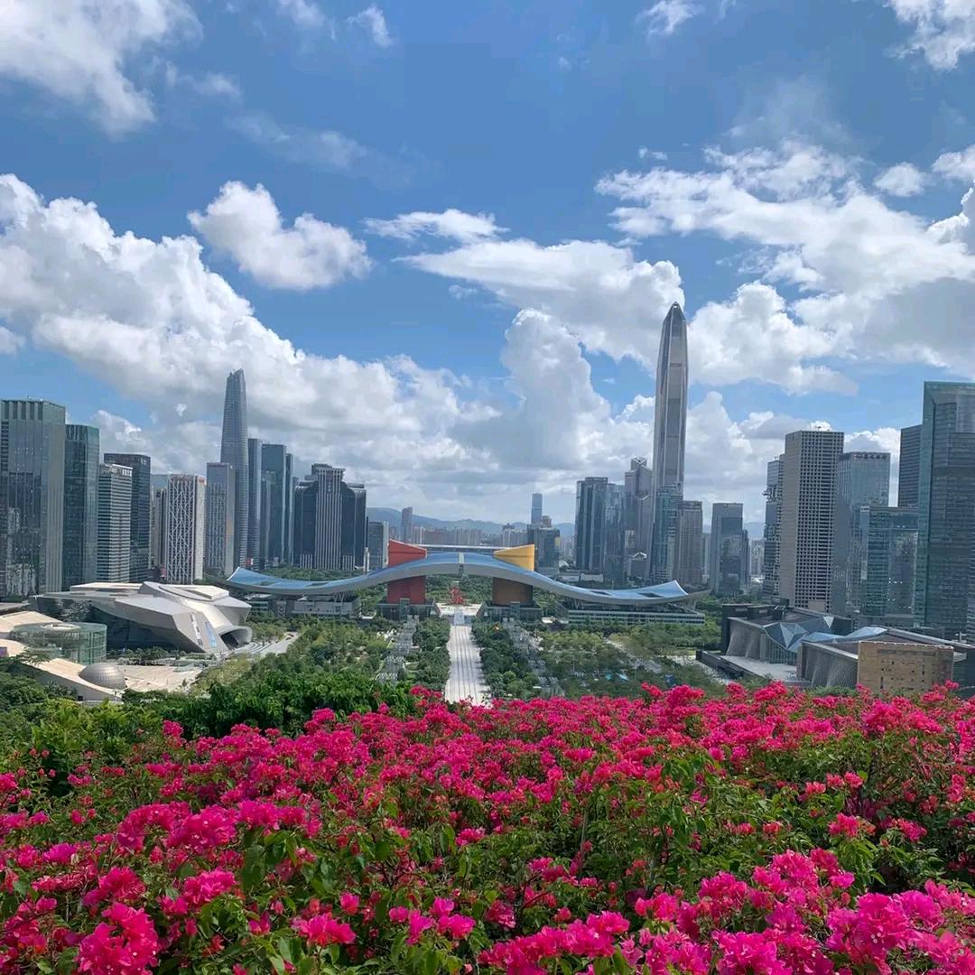 深圳之行