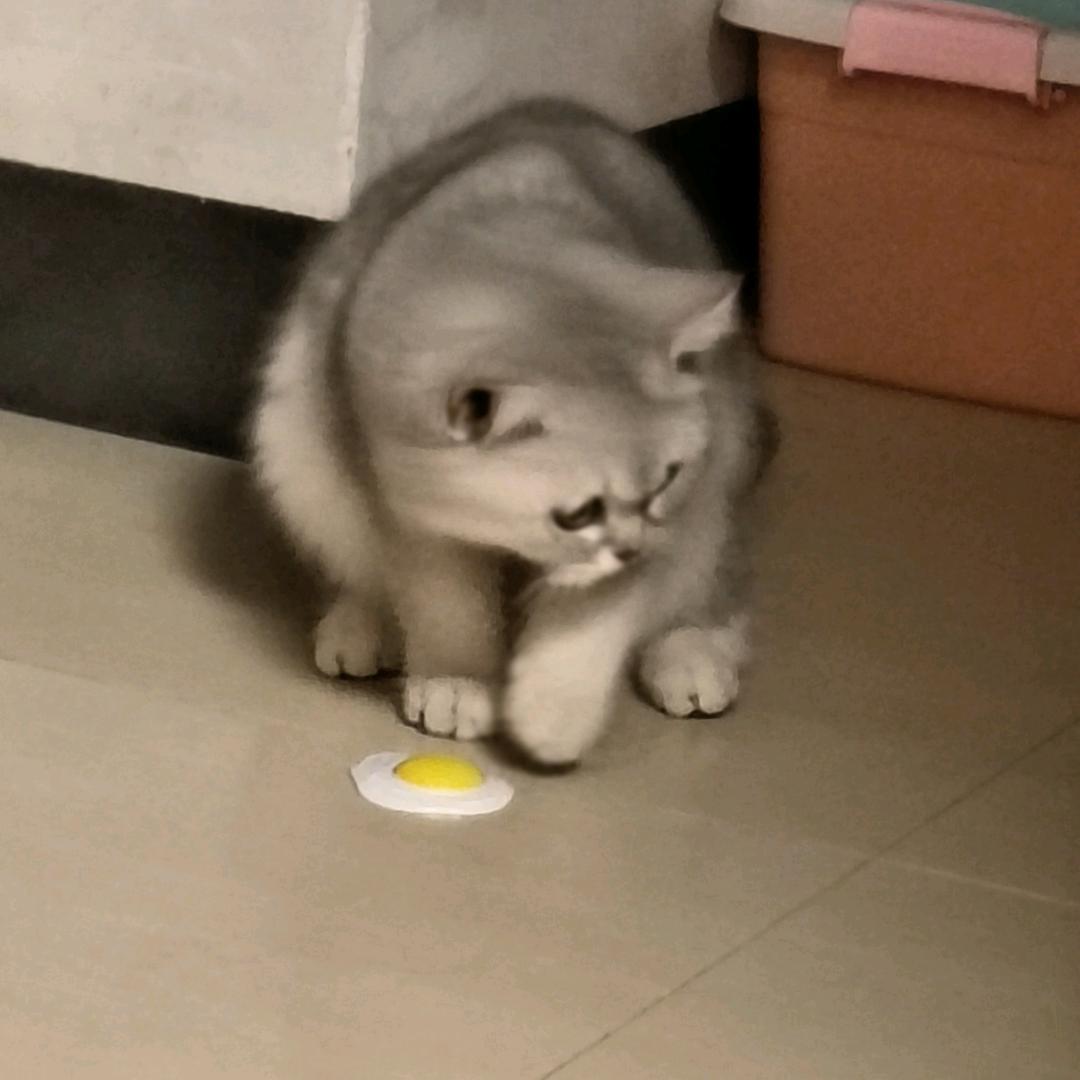 蟹不肉