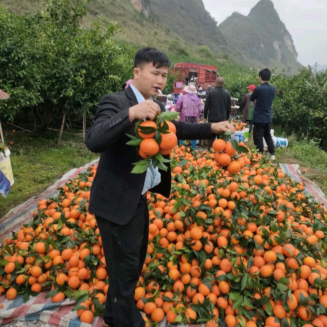 绍腾哥《水果代办🍊》