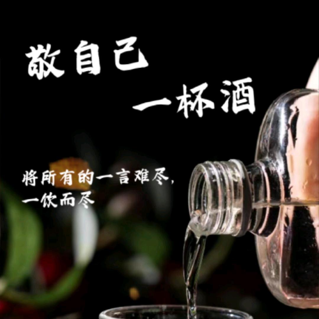 杯中烈酒敬余生
