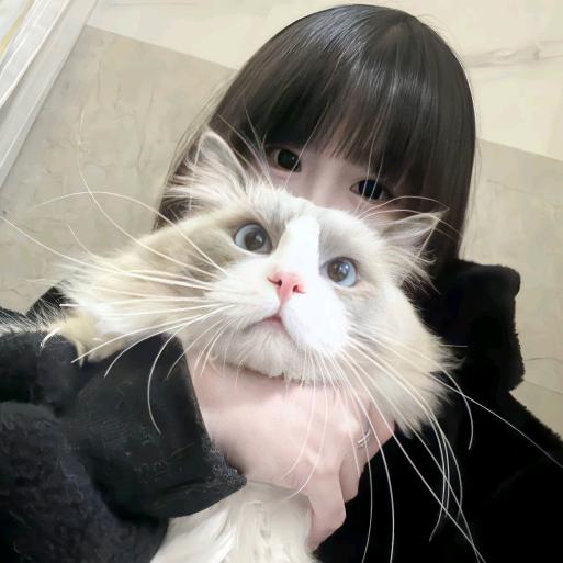 玖森.