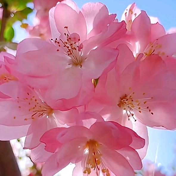 💞遇见💫温柔💞
