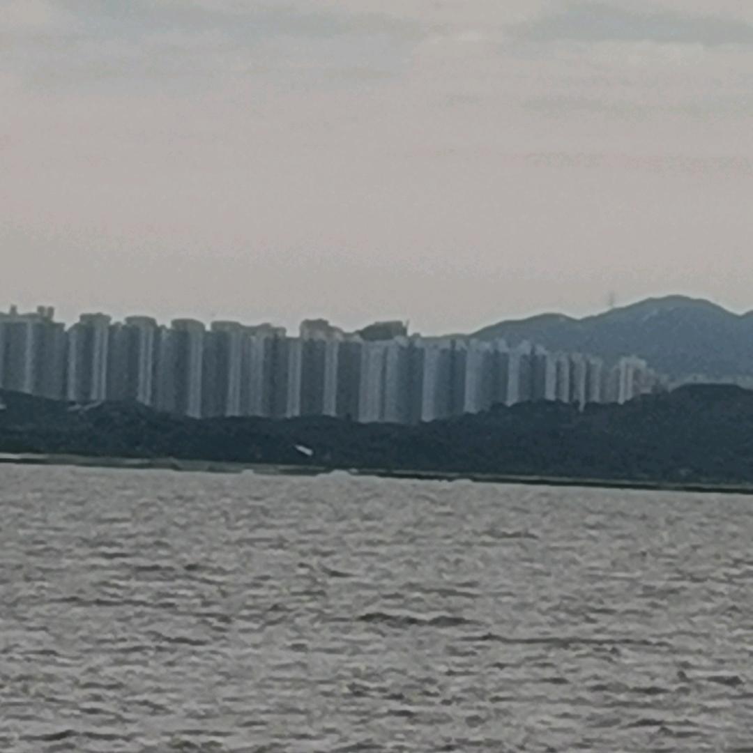 心九儿