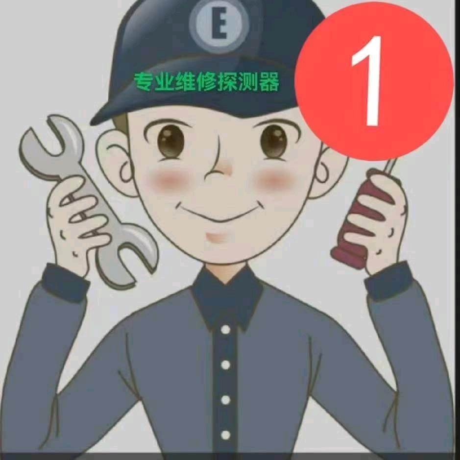 辽宁探测器实体店