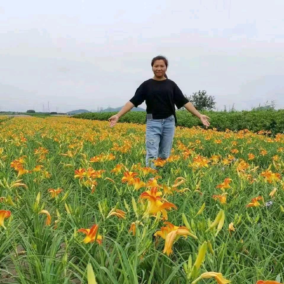 慈溪市志鹏花木农场