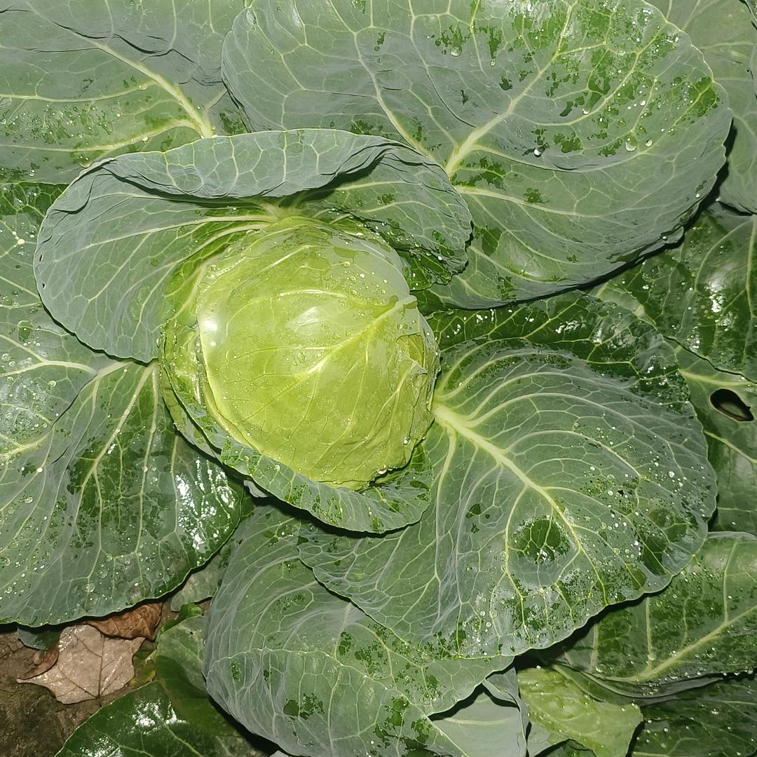 @锝嘚以得