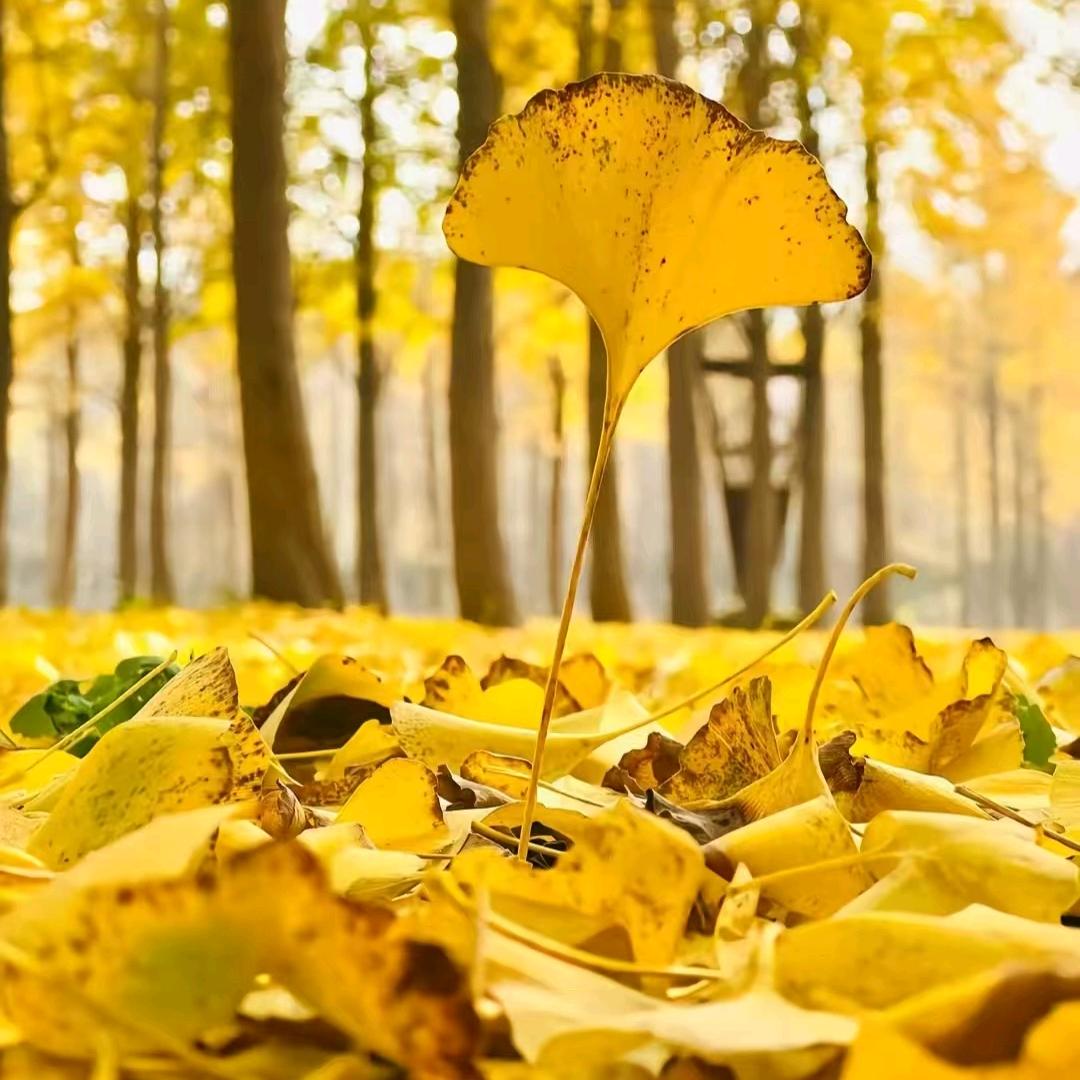 茫茫人海中遇见你