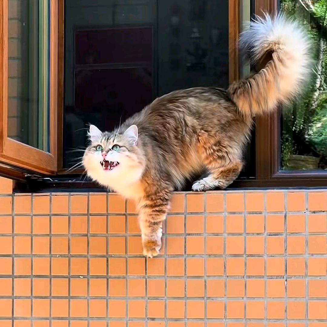 粥粥周周