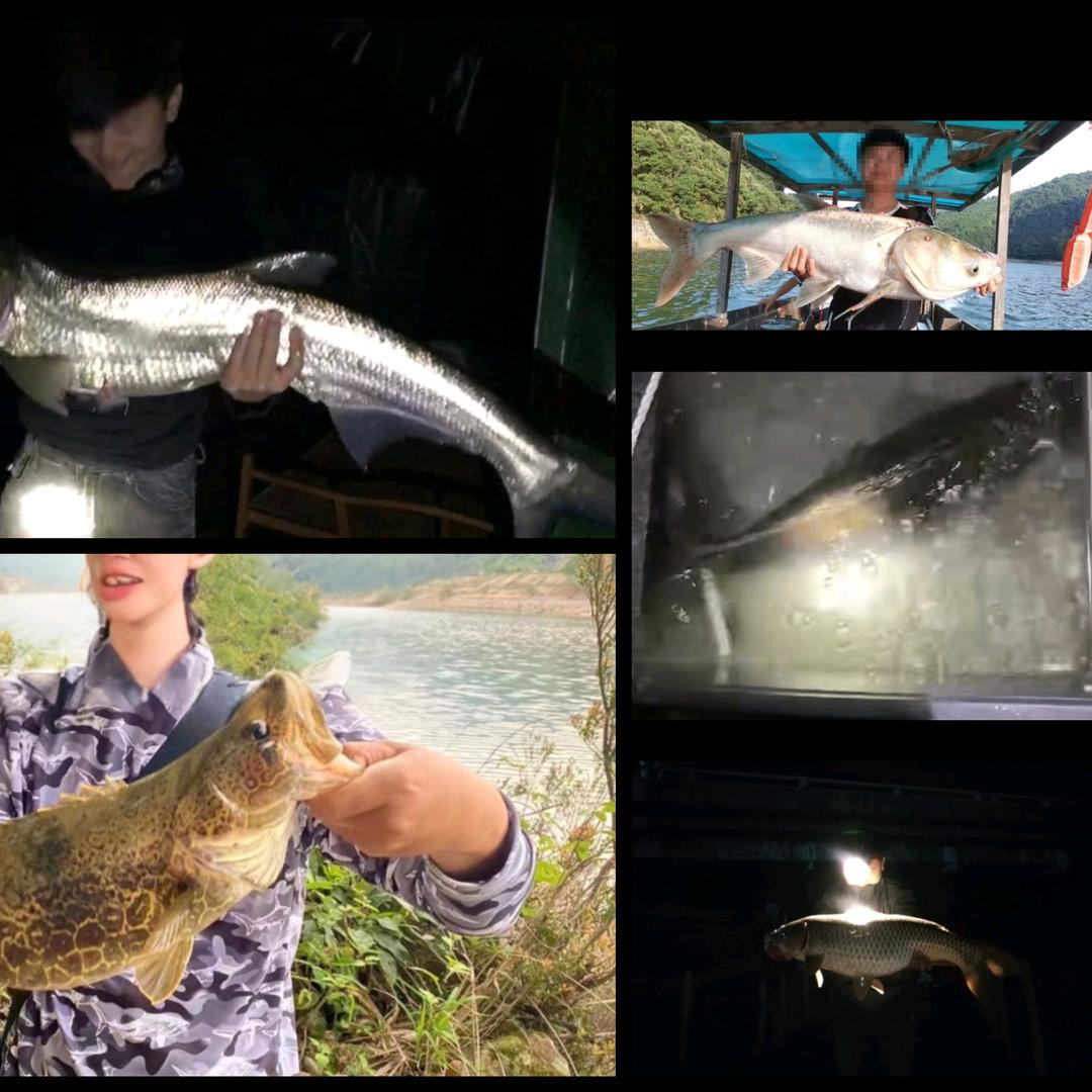 滴滴代钓！（接导钓筏钓接待）