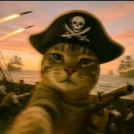 猫哥