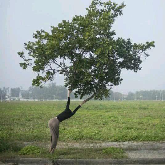 人生若只如初见