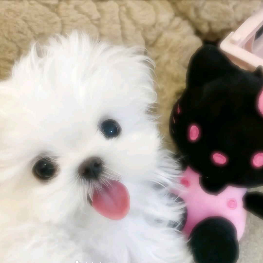 xunyu