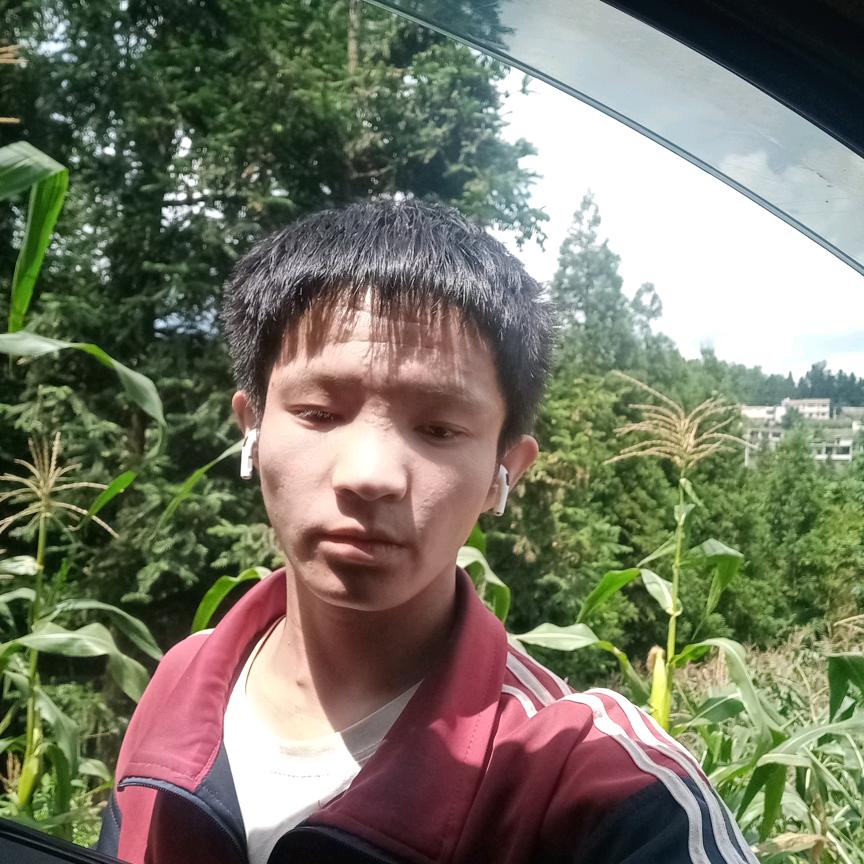 王国跃那二胡的？