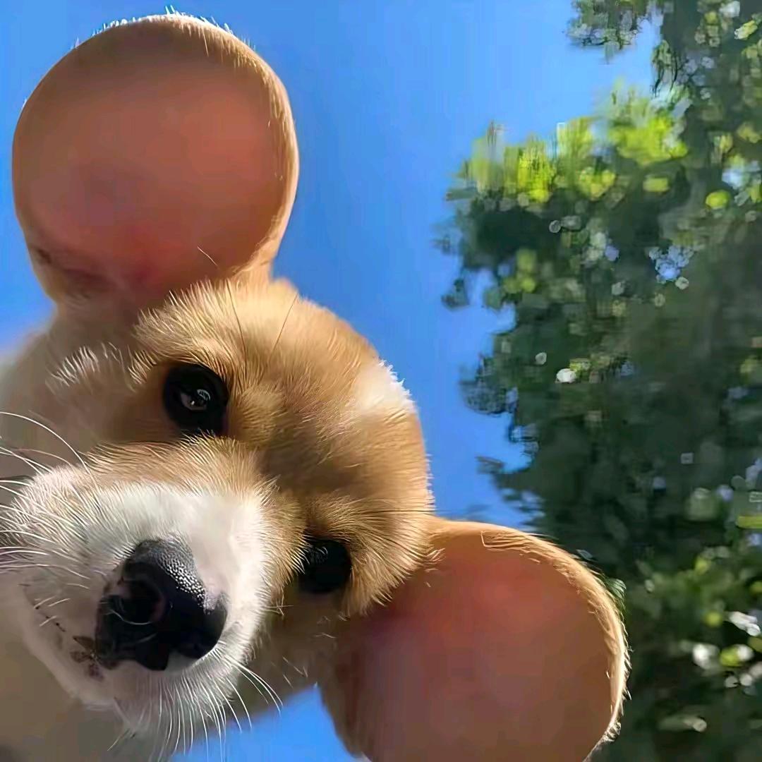小y