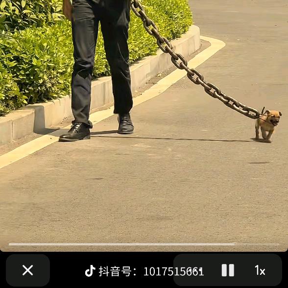 老大爷