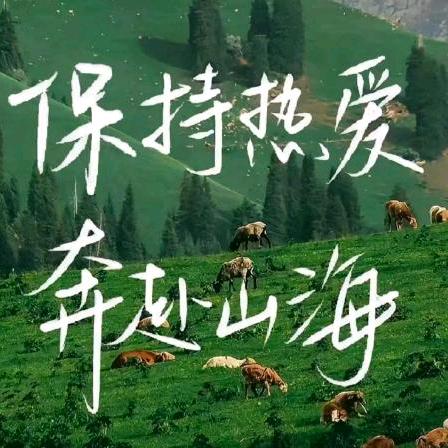 青海高考升学规划徐老师