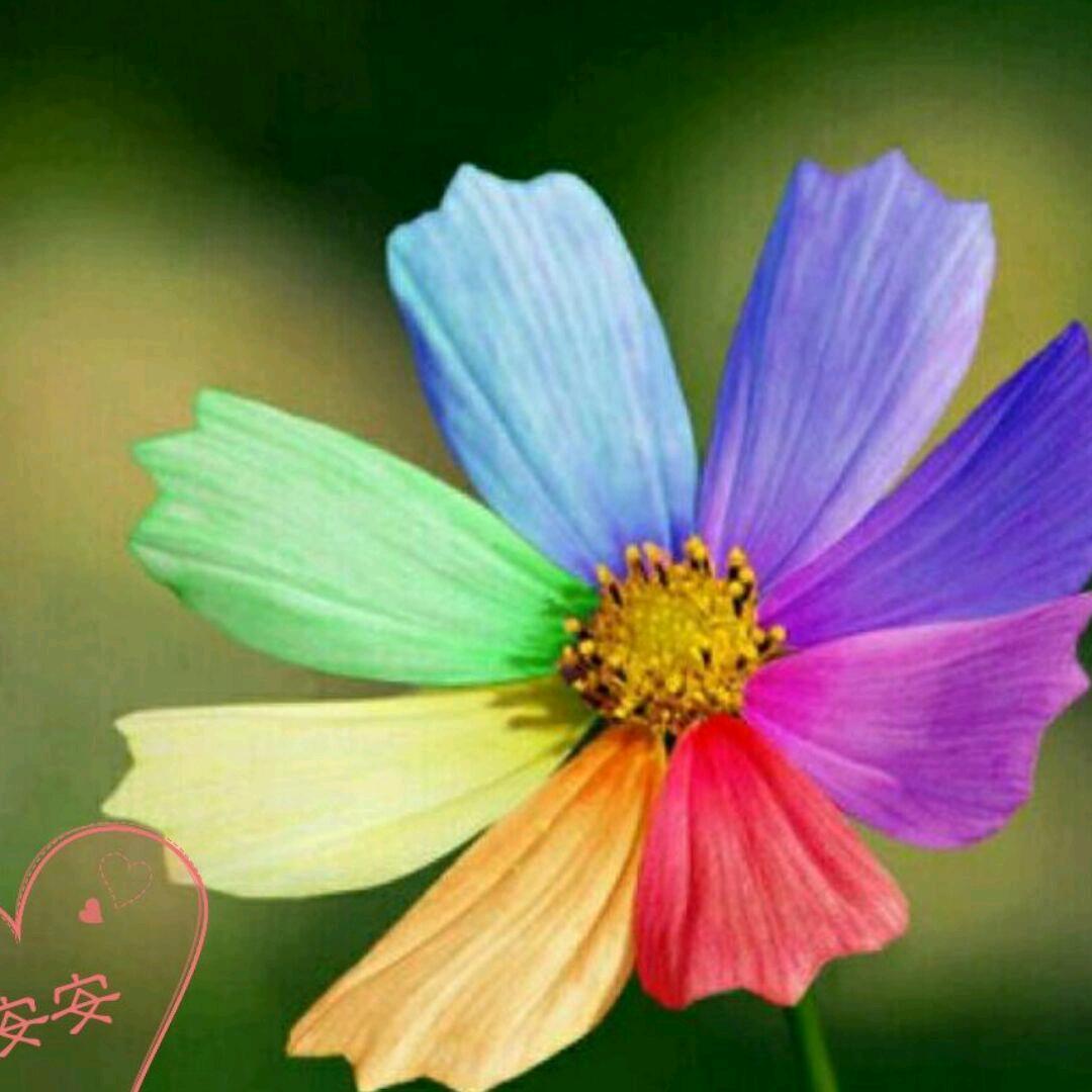 安安诵读（早6:10）