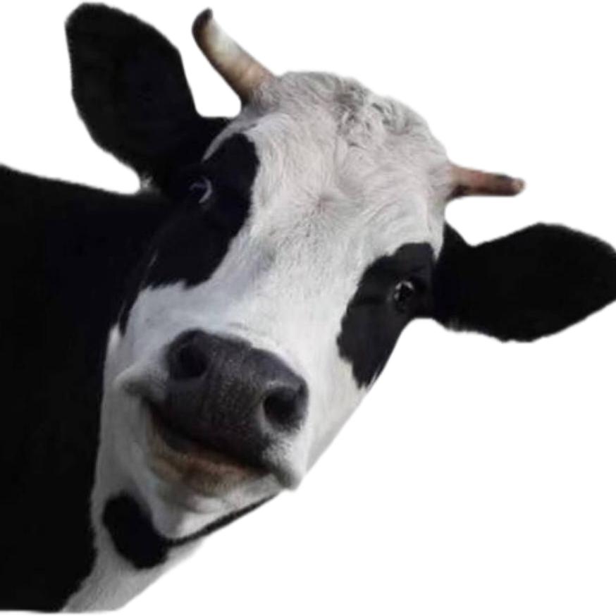 4656