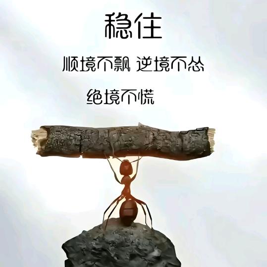💞⍤⃝✊格局正好