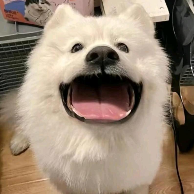 一天五顿