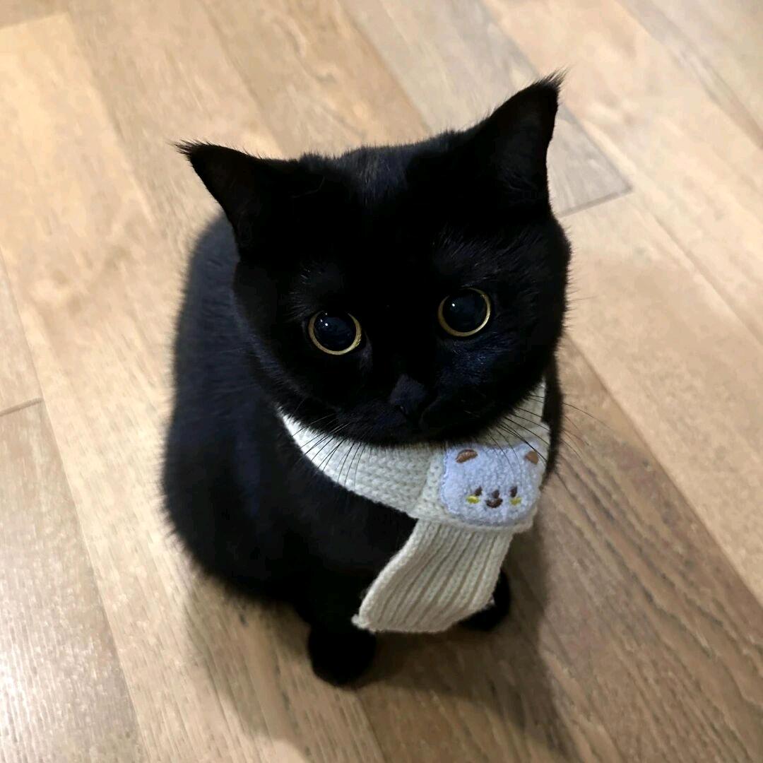 ？