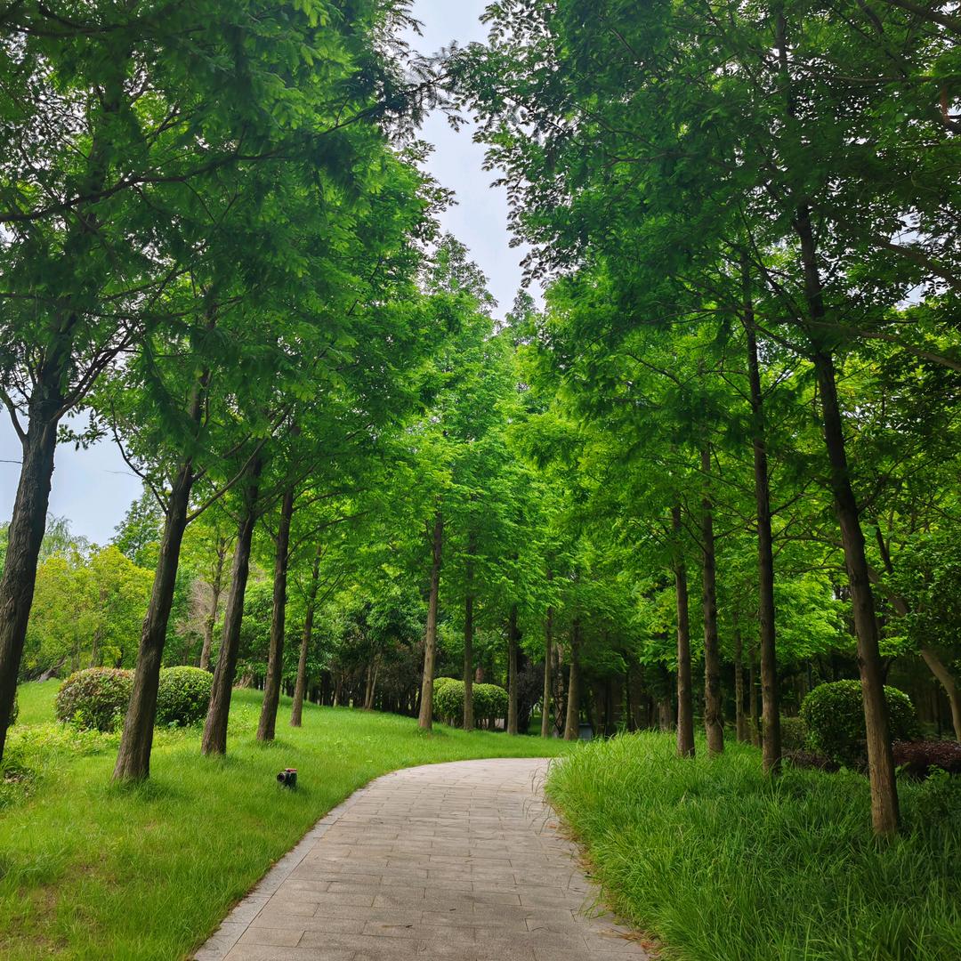 娘们不独何以立足