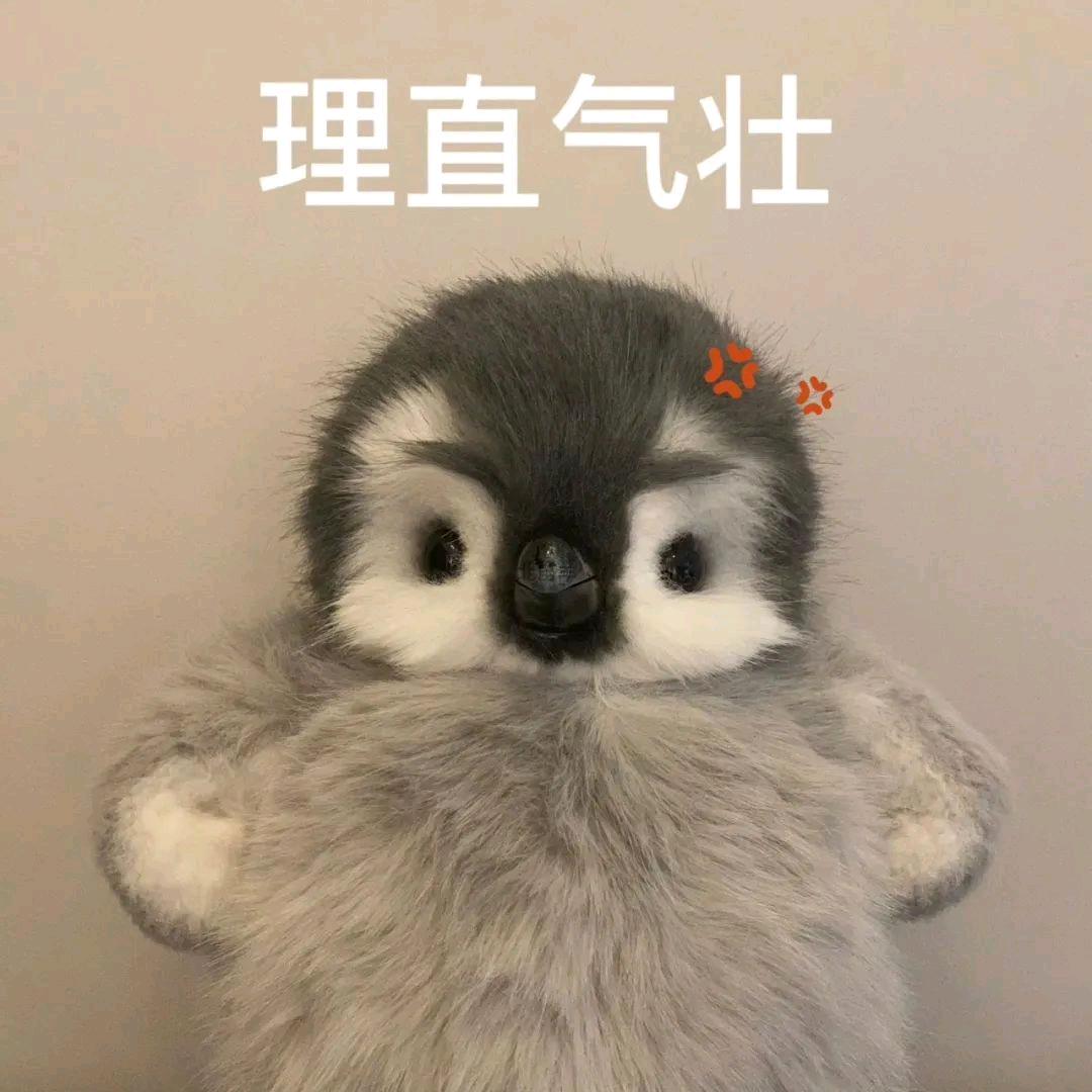 社恐腼腆小崽子