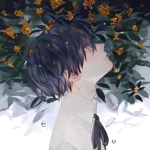 阿宝抖音全能