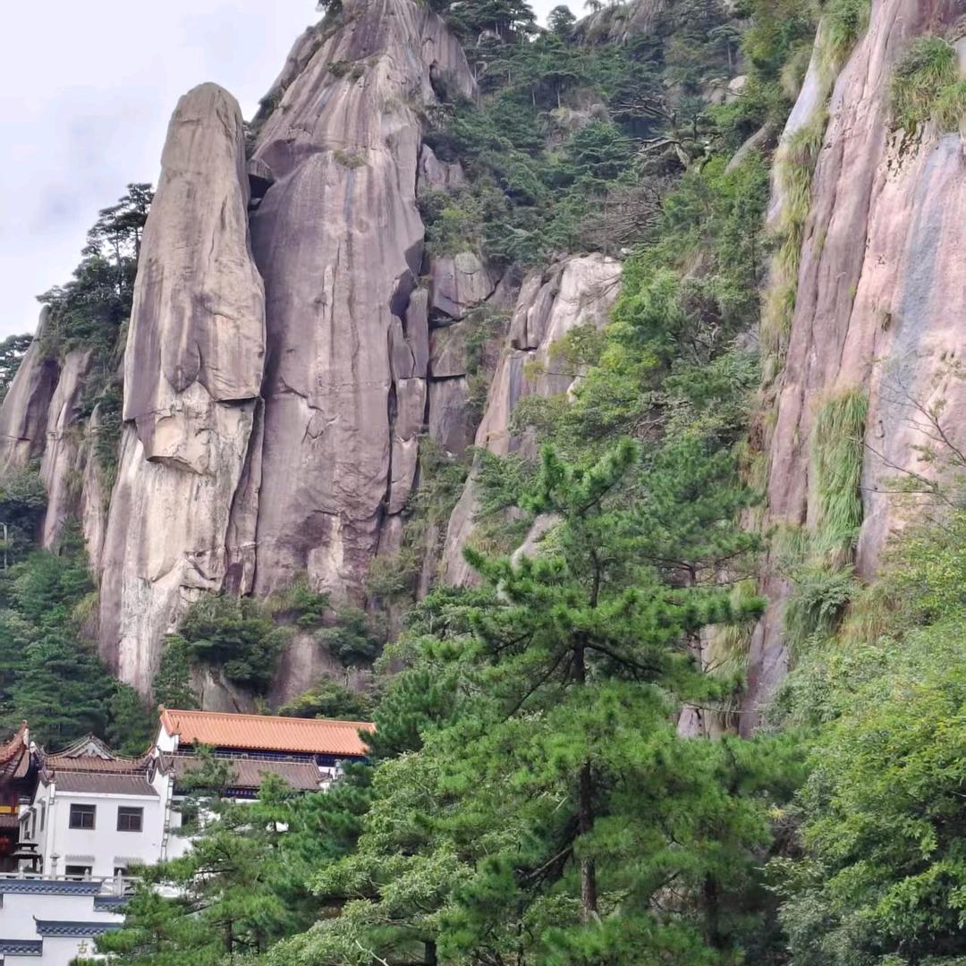 *:ஐ٩我۶ஐ:心🧣向🧣杨:ஐ *