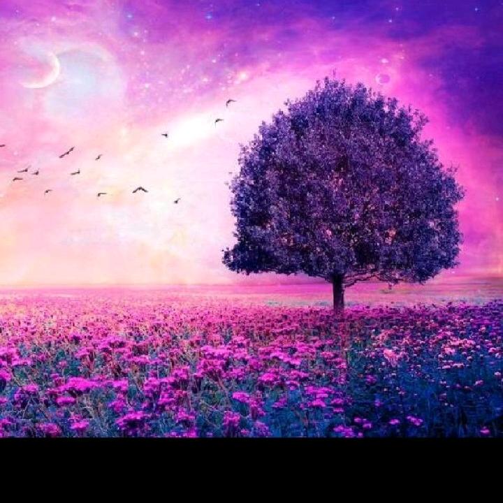 武汉热干面，炸酱面