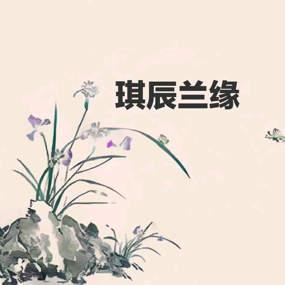 琪辰兰缘
