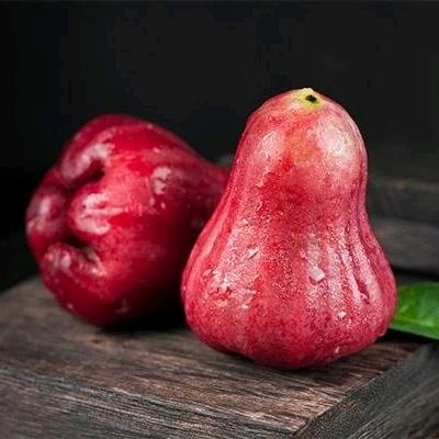 小马哥供应