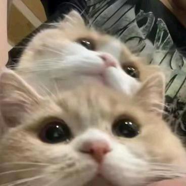 怎么吃不饱