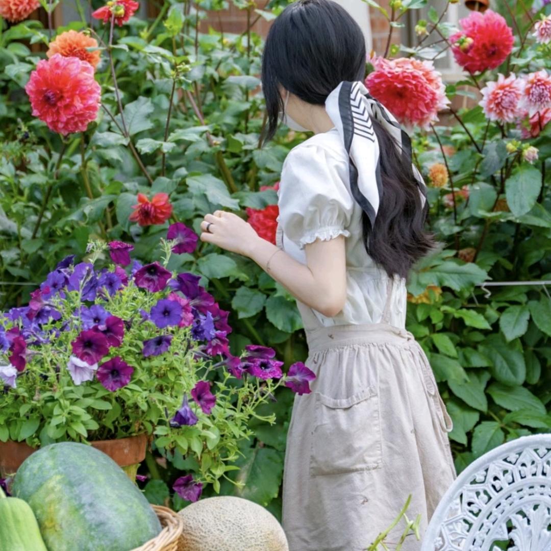 花开朵朵