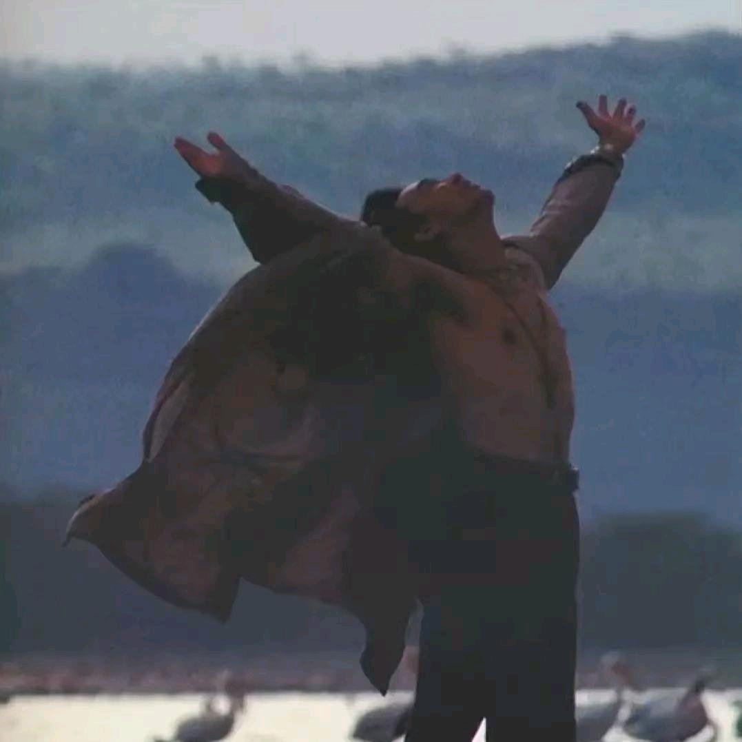 张🧡ྀི凤💛ྀི玲❤️ྀི驹伴我行