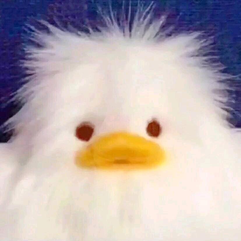 没滑了