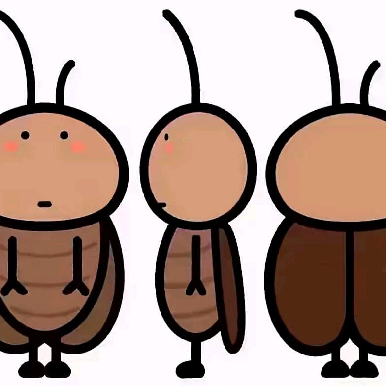 陌生人