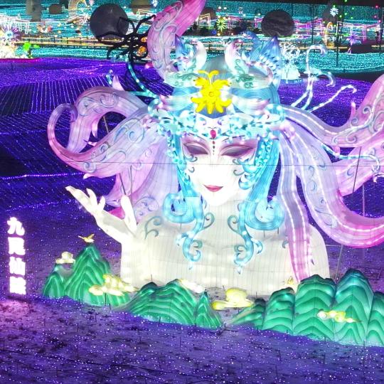 小花走世界