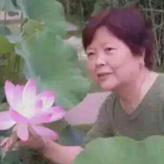 萌妈