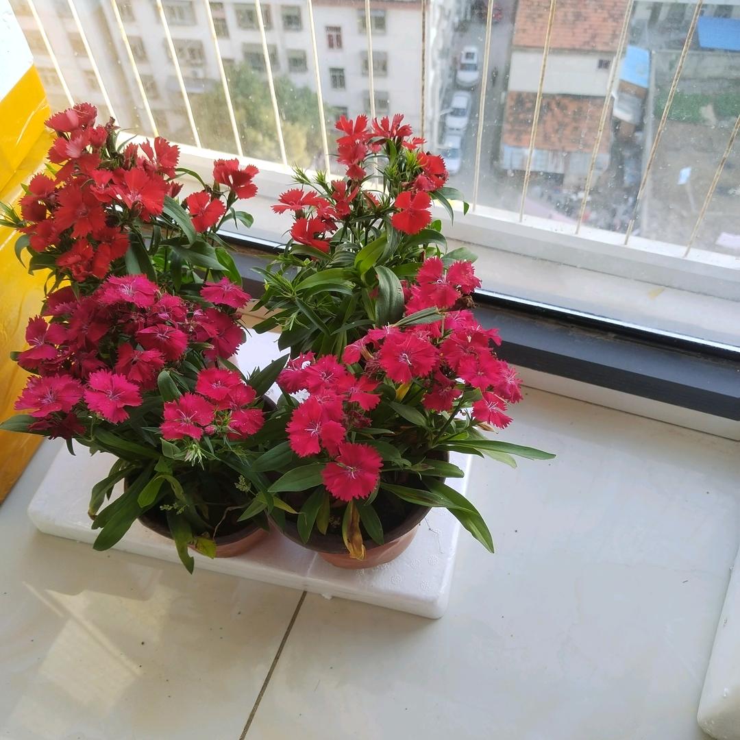 用户840773875149