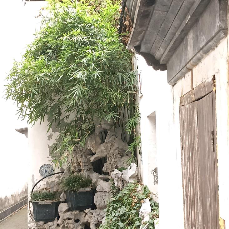 老渔翁