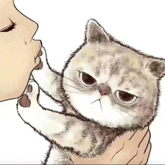 Vc老猫(三角洲新人)