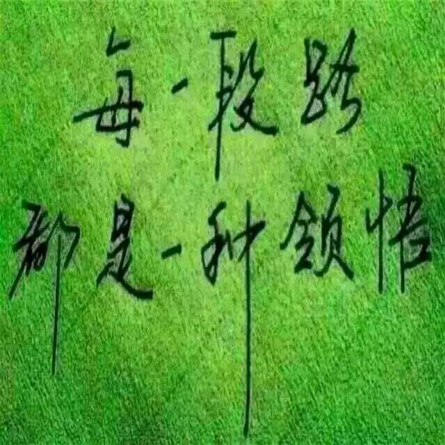 ꧁꫞来先生꫞꧂
