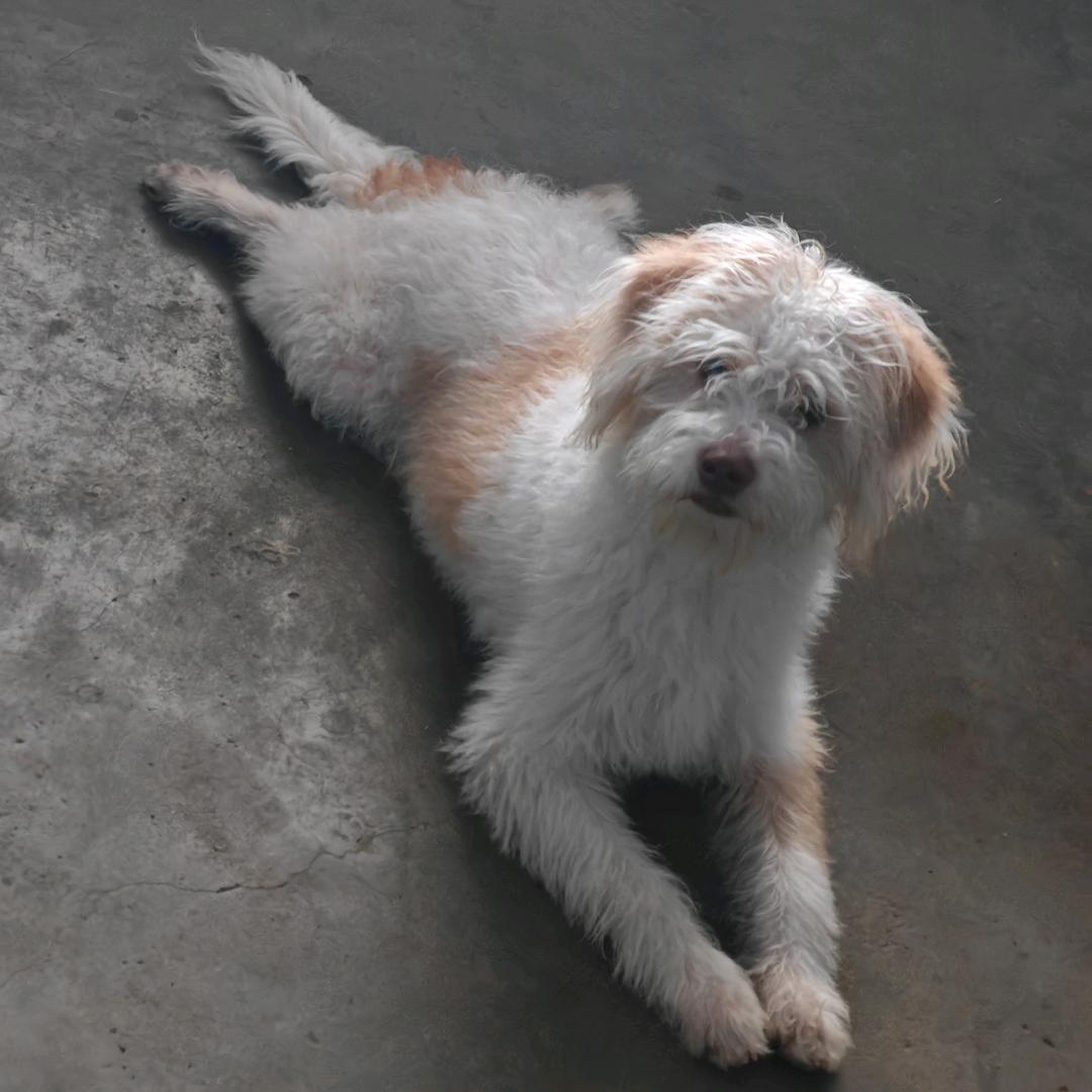 那场梦~\(≧▽≦)