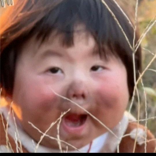 缘来是你