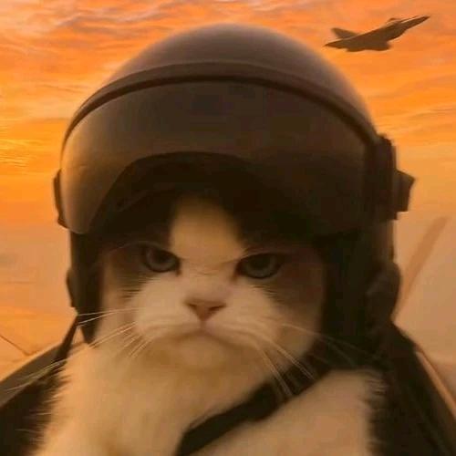 寻影觅雪（三角洲行动）