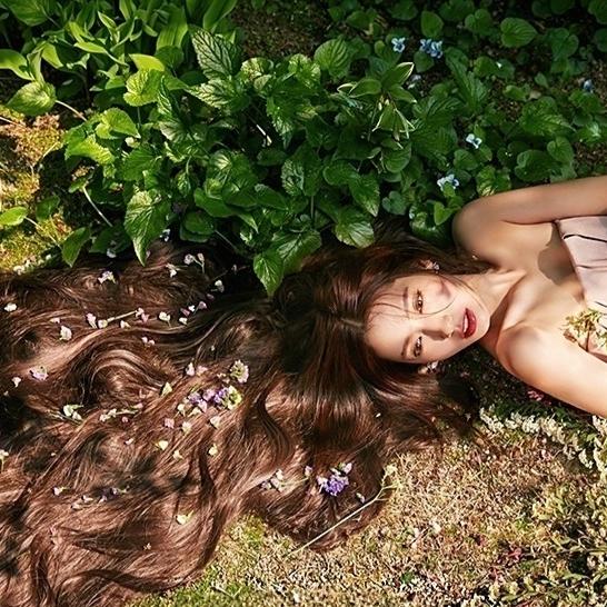 爱喝铁观音绿茶