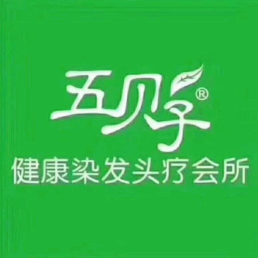 兴平五贝子植物染发