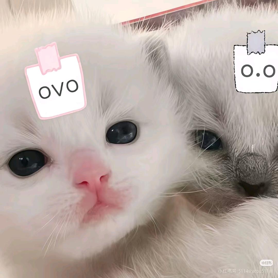 心动¹万次